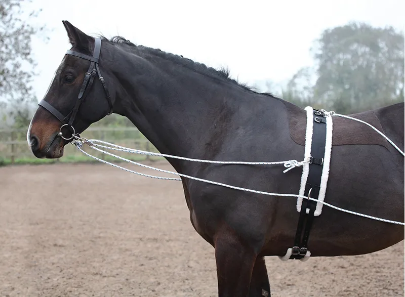 Shires Lunging Aid in Black-3