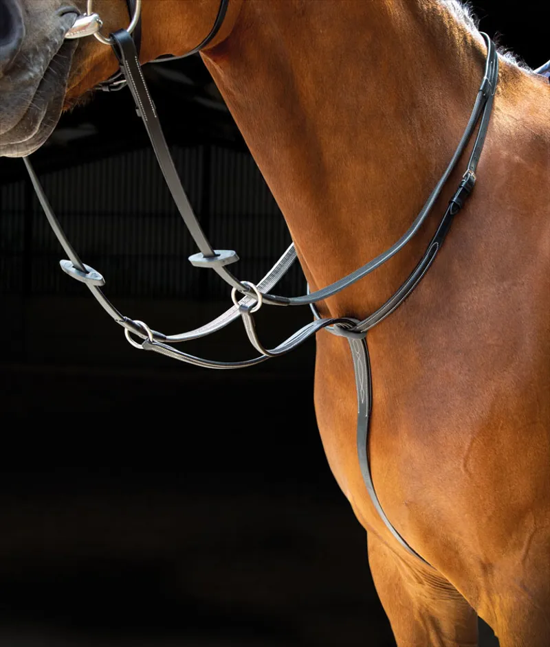 Salisbury Running Martingale in Black