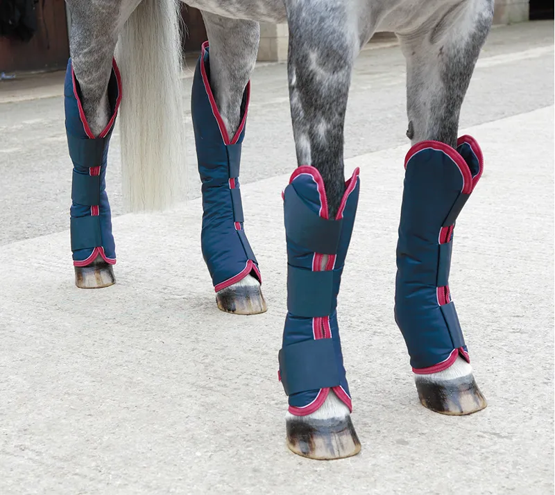 Shires Travel Boots Navy, White and Red