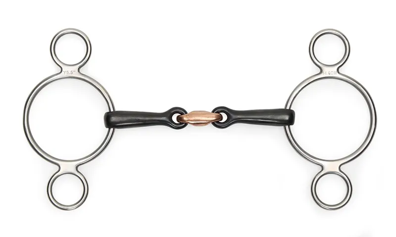 Shires Two Ring Sweet Iron Gag