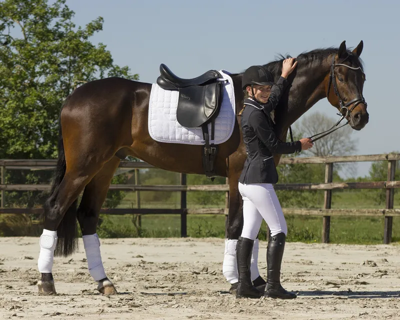 QHP Sparkle Dressage Saddlepad in White-1