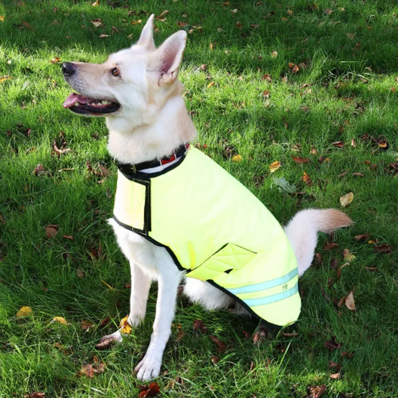 Benji and Flo Sublime Polo Dog Collar in Navy/Red - WEB EXCLUSIVE-2