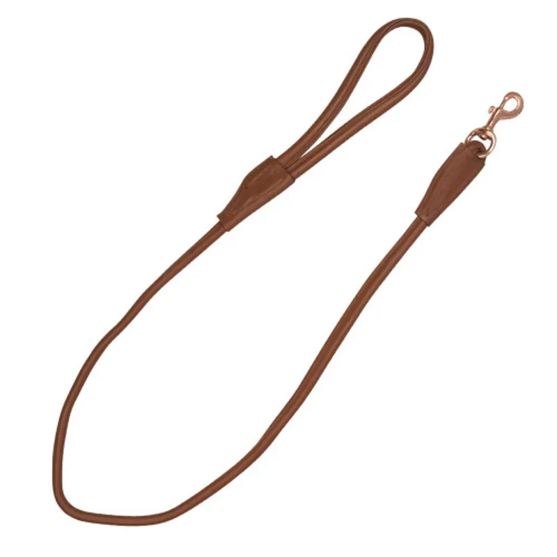 Benji and Flo Superior Rolled Leather Dog Lead in Tan - WEB EXCLUSIVE