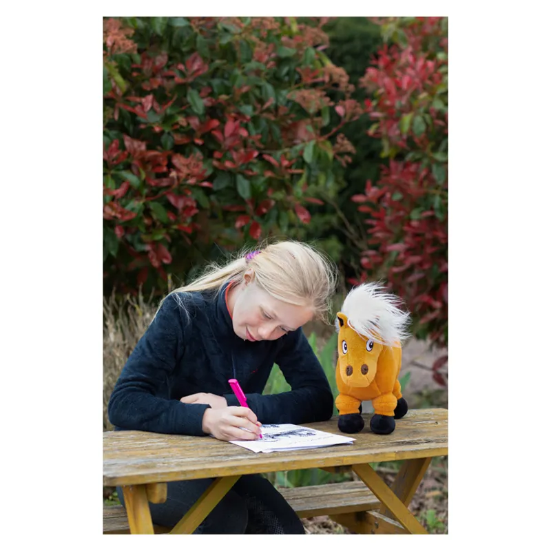 Hy Equestrian Thelwell Activity Book A4 - WEB EXCLUSIVE-2