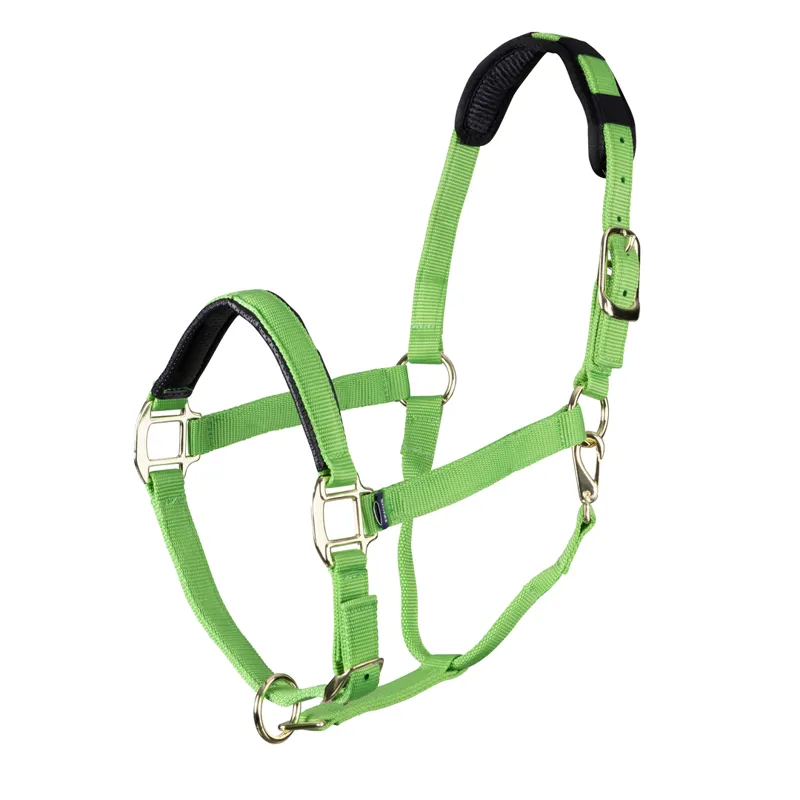 Shires Topaz Nylon Headcollar in Green