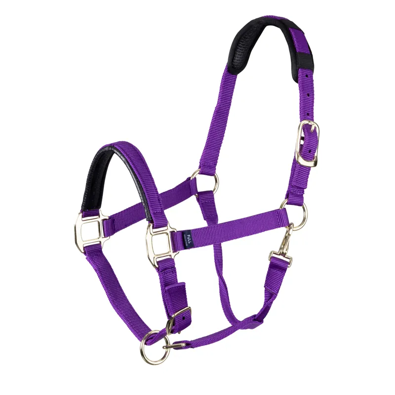 Shires Topaz Nylon Headcollar in Purple