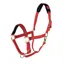 Shires Topaz Nylon Headcollar in Red