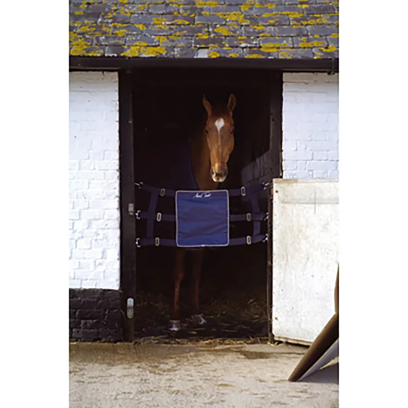 Mark Todd Stall Guard in Navy and Silver