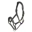 Velociti RAPIDA Comfort Leather Headcollar in Black