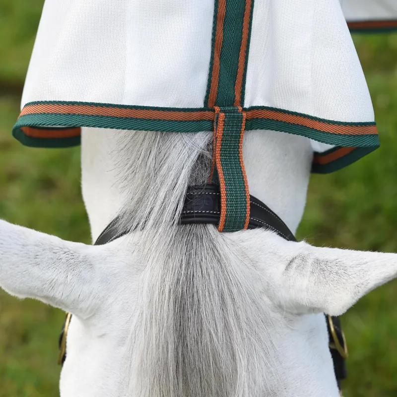 Weatherbeeta Comfitec Tyro Mesh Combo Fly Rug-1