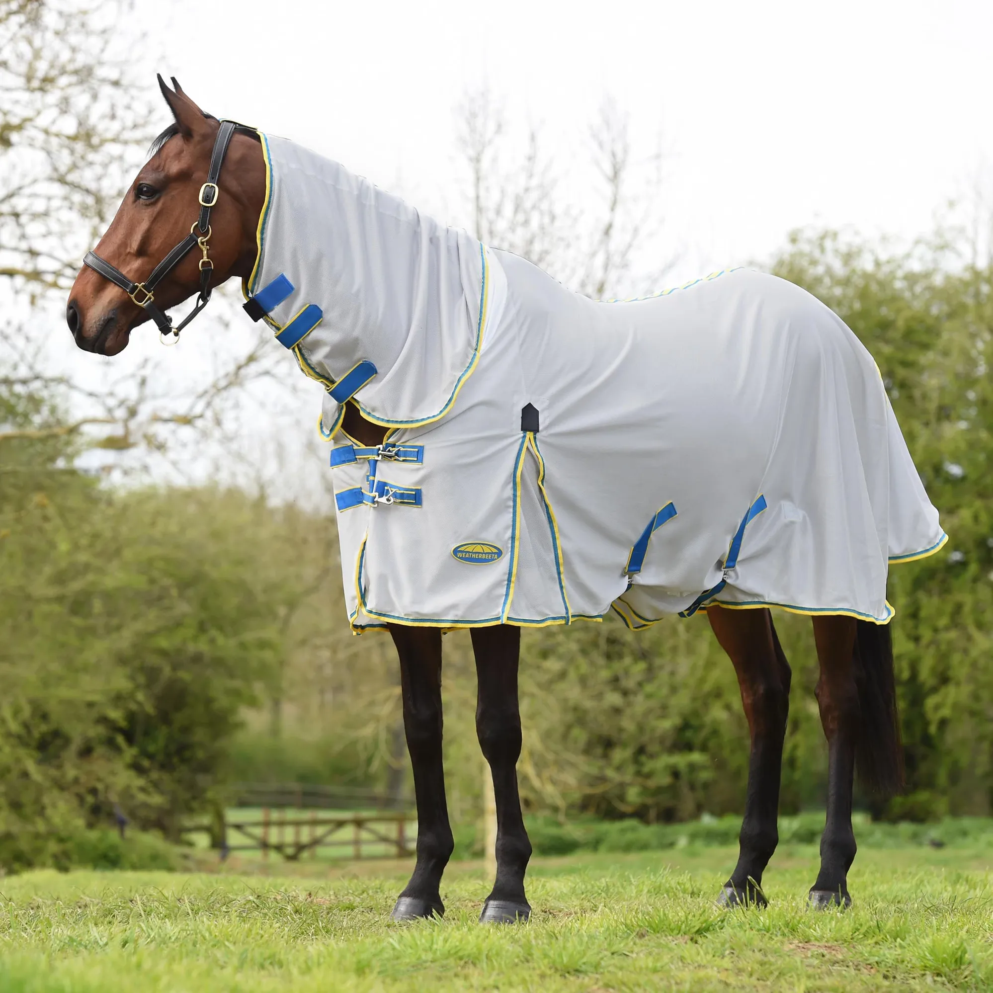 Weatherbeeta Comfitec Essential Combo Neck 220g Horse Turnout Rug | Purple | Burgundy/Navy | 5ÂFt | 1 - Groceries Weatherbeeta Comfitec Essential Combo Neck 220g Horse Turnout Rug | Purple | Burgundy/Navy | 5ÂFt | 1 - Groceries